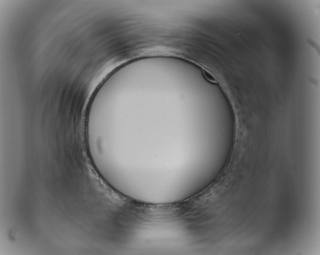 X0000103451008200809261812