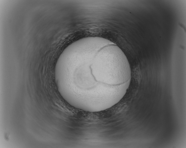 X0000103451009200809261812