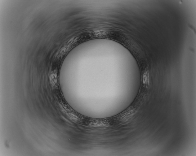 X0000103451011200809261812