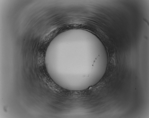 X0000103451014200809261812