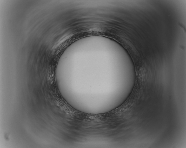 X0000103451015200809261812