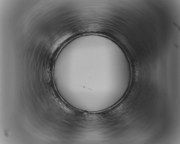 X0000103451018200809261812