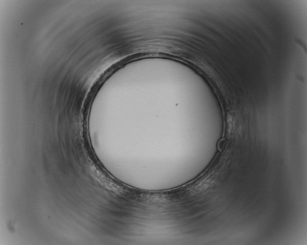 X0000103451020200809261812