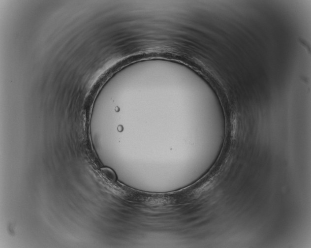 X0000103451021200809261812