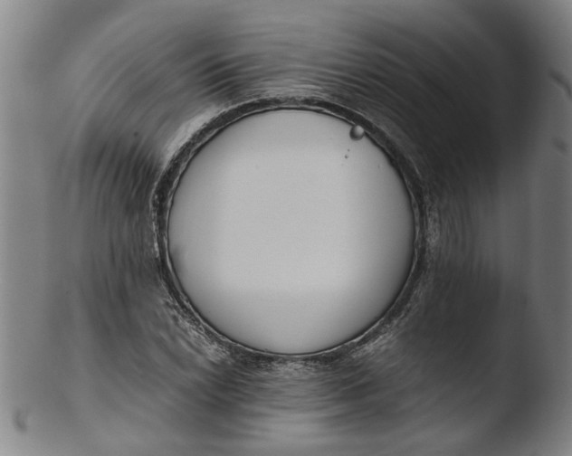 X0000103451022200809261812