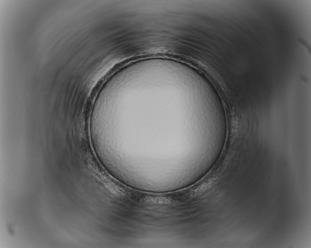 X0000103451023200809261812