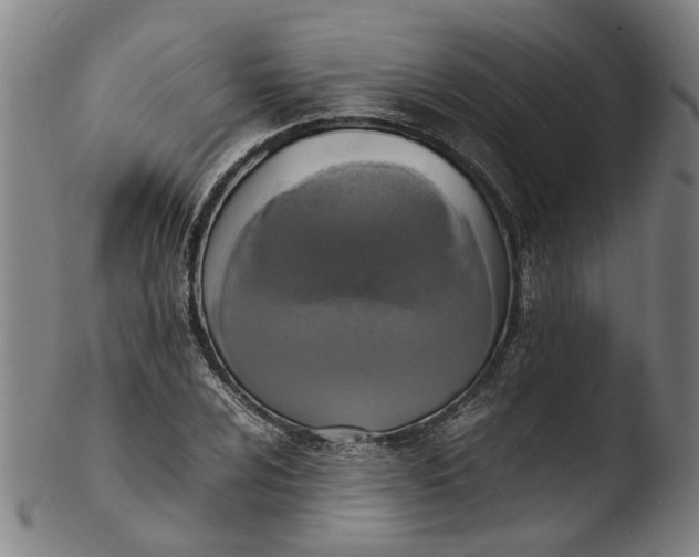 X0000103451024200809261812