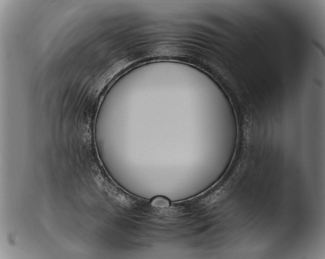 X0000103451025200809261812