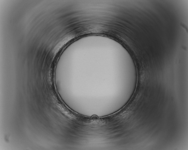 X0000103451026200809261812