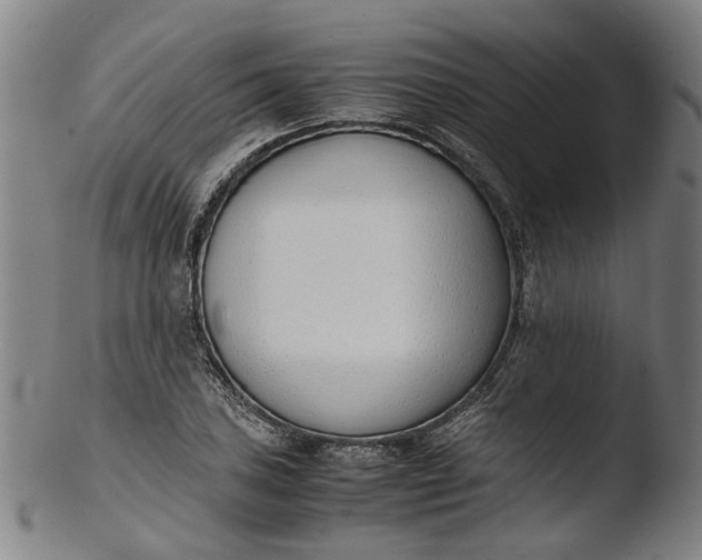 X0000103451027200809261812