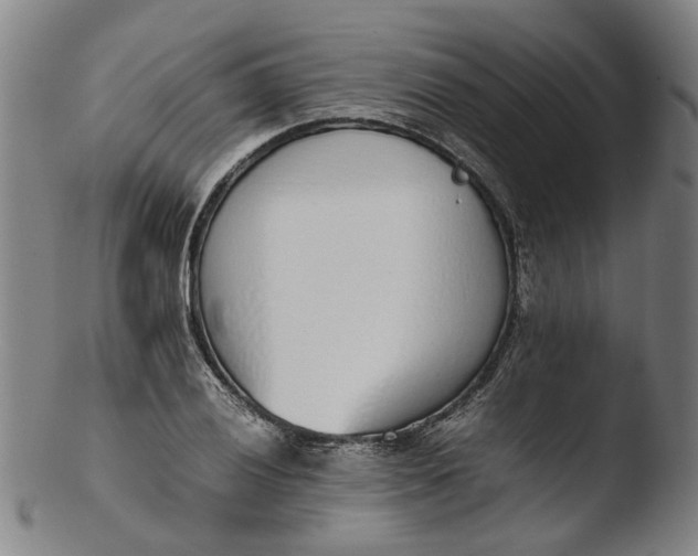 X0000103451028200809261812