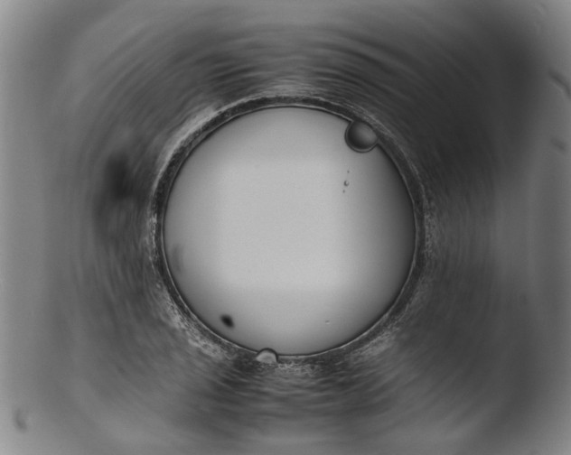 X0000103451029200809261812