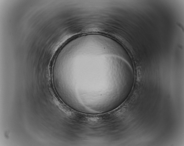 X0000103451031200809261812