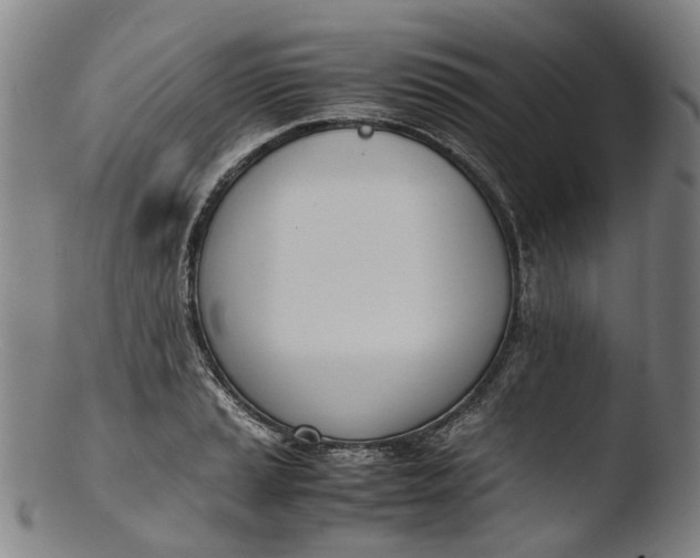 X0000103451037200809261812