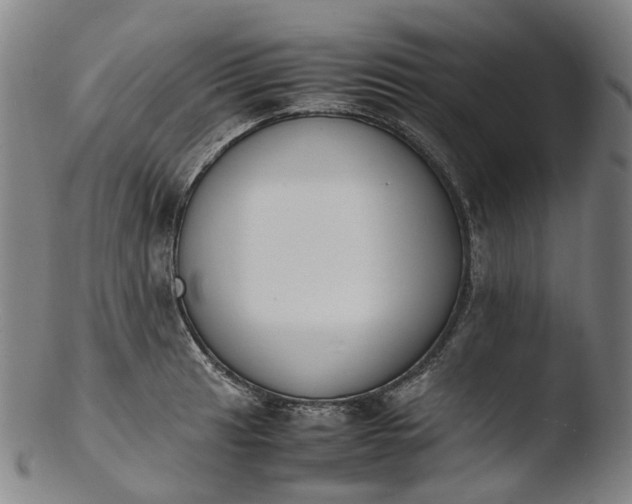 X0000103451041200809261812