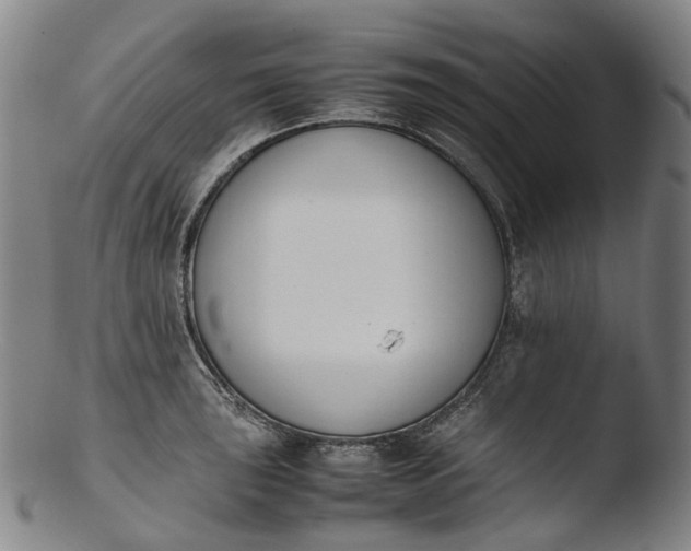 X0000103451043200809261812