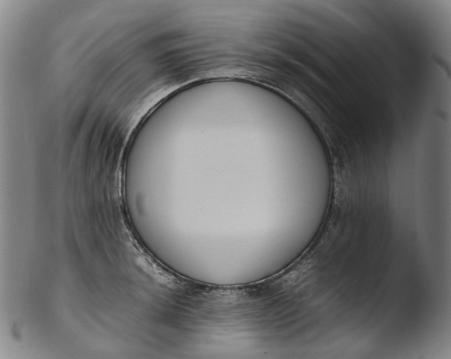 X0000103451044200809261812