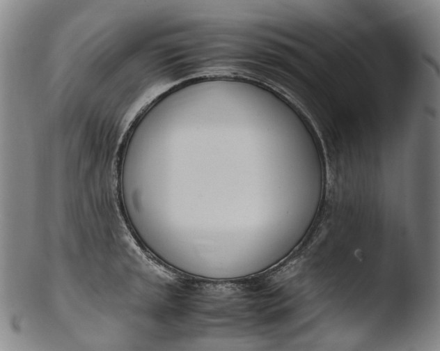 X0000103451045200809261812