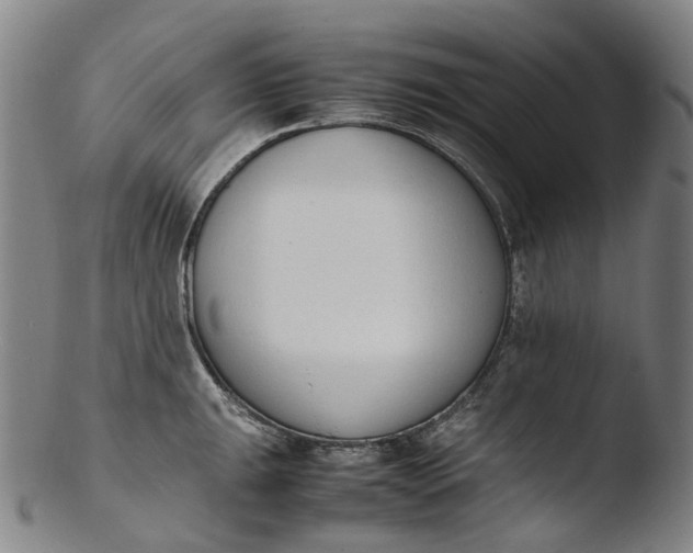 X0000103451047200809261812