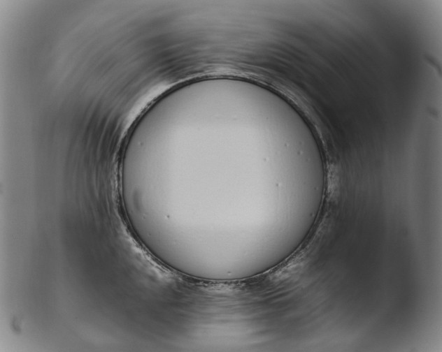 X0000103451048200809261812