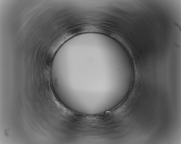 X0000103451049200809261812