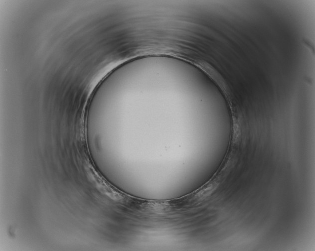 X0000103451052200809261812