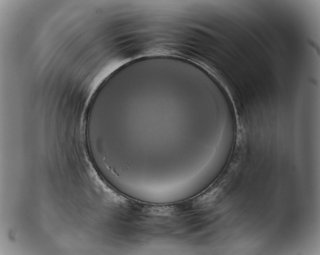 X0000103451053200809261812