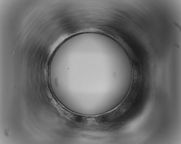 X0000103451054200809261812