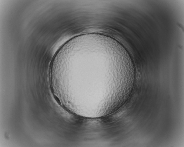 X0000103451055200809261812