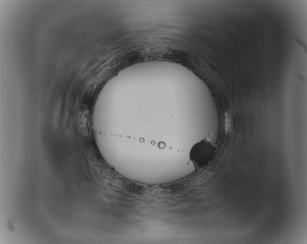 X0000103451059200809261812