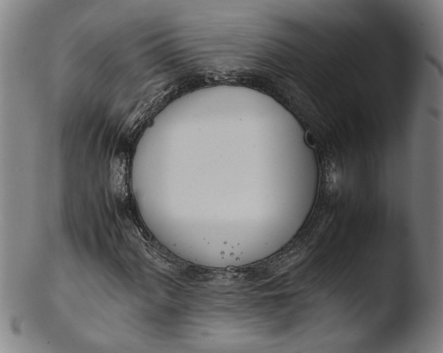 X0000103451060200809261811