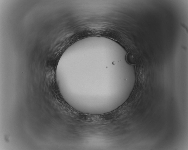 X0000103451061200809261811