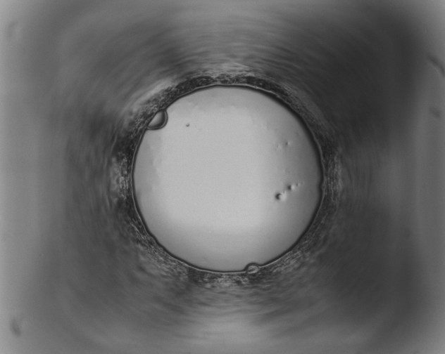 X0000103451063200809261811