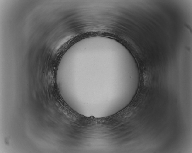 X0000103451064200809261811