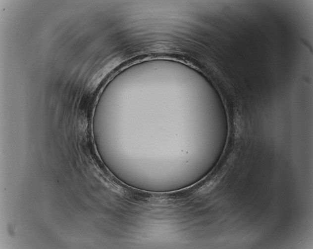 X0000103451065200809261811