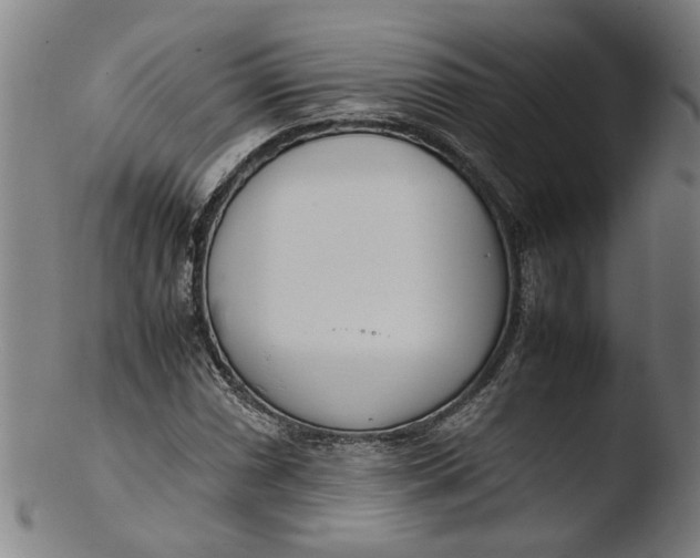 X0000103451066200809261811