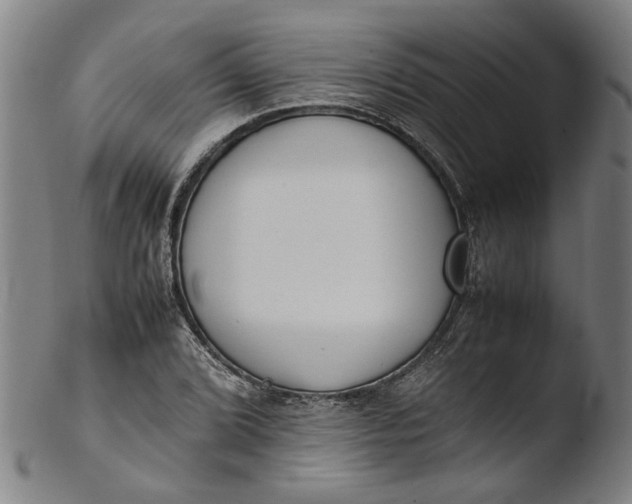 X0000103451072200809261811