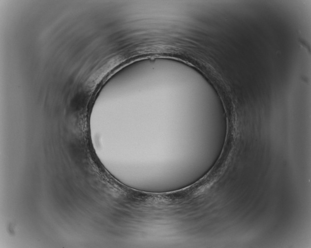 X0000103451073200809261811