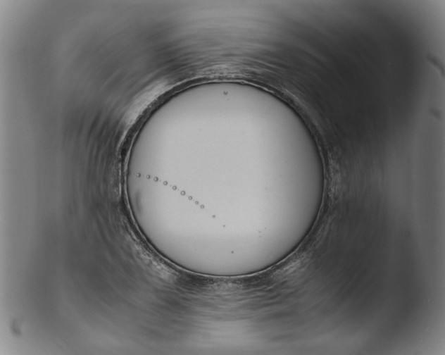 X0000103451075200809261811