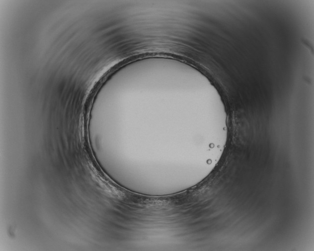 X0000103451076200809261811