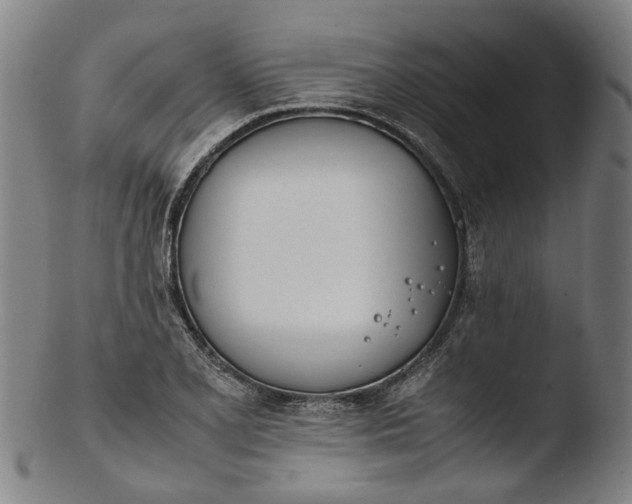 X0000103451077200809261811