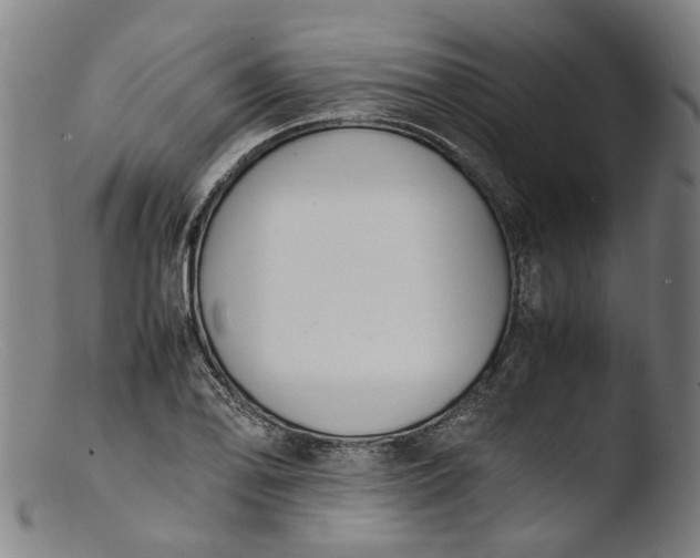 X0000103451078200809261811