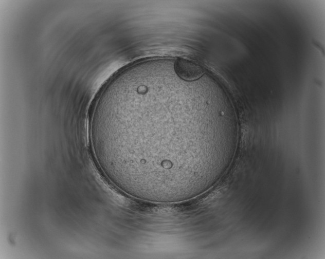 X0000103451079200809261811