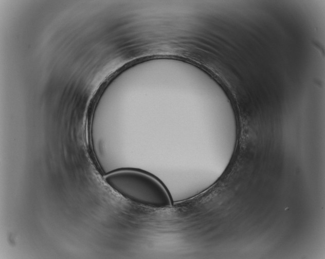 X0000103451080200809261811