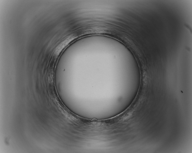 X0000103451081200809261811