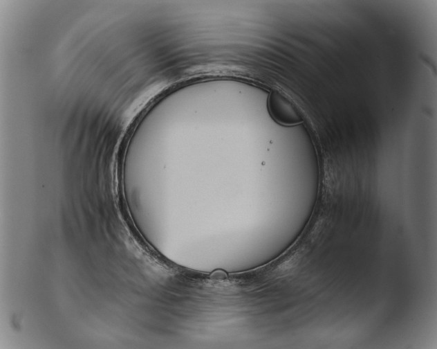 X0000103451082200809261811