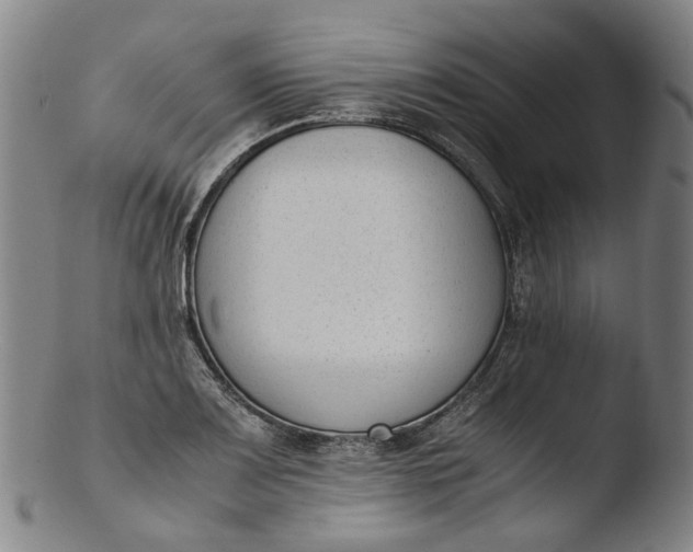 X0000103451083200809261811