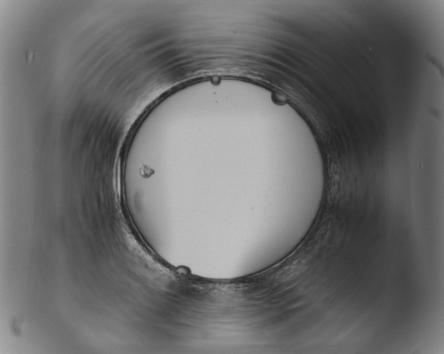 X0000103451084200809261811