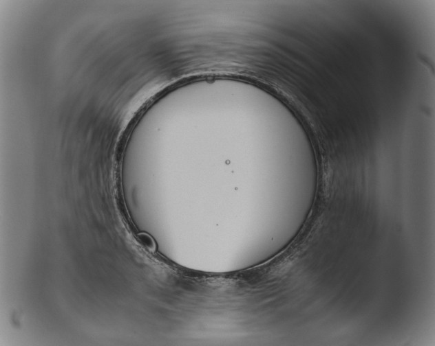 X0000103451085200809261811