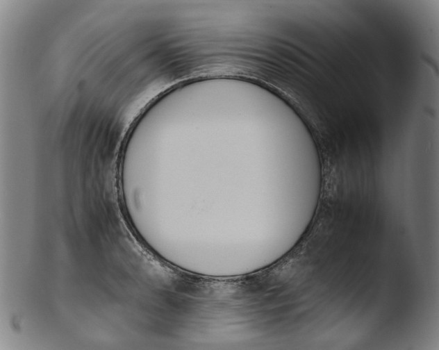 X0000103451086200809261811